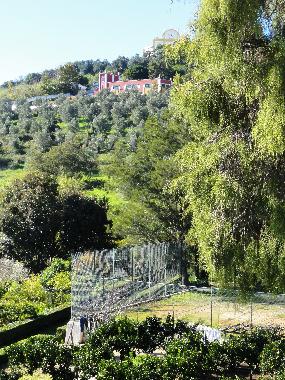 Ferienwohnung in Santiago do Cac�m (Alentejo Litoral) oder Ferienwohnung oder Ferienhaus