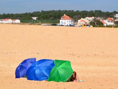 Ferienwohnung in Santiago do Cac�m (Alentejo Litoral) oder Ferienwohnung oder Ferienhaus