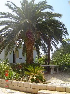 Ferienwohnung in Rab (Primorsko-Goranska) oder Ferienwohnung oder Ferienhaus