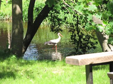 Unser Geschaeftsfuehrer - begruest die VIP-Gaeste und kuemmert sich um Fischprodukte