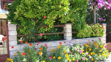 Ferienwohnung in Stari Grad (Splitsko-Dalmatinska) oder Ferienwohnung oder Ferienhaus