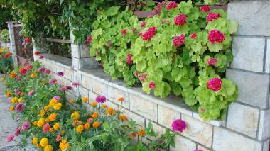 Ferienwohnung in Stari Grad (Splitsko-Dalmatinska) oder Ferienwohnung oder Ferienhaus