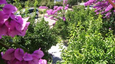 Ferienwohnung in Stari Grad (Splitsko-Dalmatinska) oder Ferienwohnung oder Ferienhaus