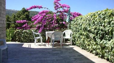 Ferienwohnung in Stari Grad (Splitsko-Dalmatinska) oder Ferienwohnung oder Ferienhaus