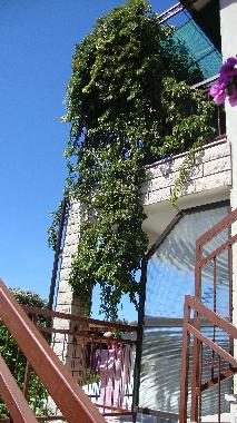 Ferienwohnung in Stari Grad (Splitsko-Dalmatinska) oder Ferienwohnung oder Ferienhaus