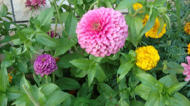 Ferienwohnung in Stari Grad (Splitsko-Dalmatinska) oder Ferienwohnung oder Ferienhaus