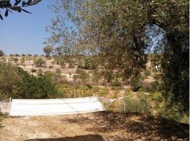 Ferienwohnung in noto (Siracusa) oder Ferienwohnung oder Ferienhaus