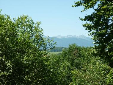 Ferienhaus in Haut de Bosdarros (Pyr�n�es-Atlantiques) oder Ferienwohnung oder Ferienhaus