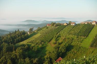 Ferienhaus in �entrupert (Trebnje) oder Ferienwohnung oder Ferienhaus