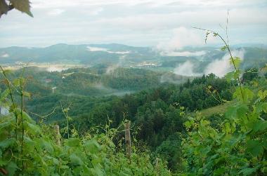Ferienhaus in �entrupert (Trebnje) oder Ferienwohnung oder Ferienhaus