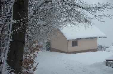 Ferienhaus in �entrupert (Trebnje) oder Ferienwohnung oder Ferienhaus