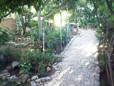 Ferienhaus in Conceicao Tavira (Algarve) oder Ferienwohnung oder Ferienhaus