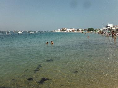 Ferienhaus in Olh�o (Algarve) oder Ferienwohnung oder Ferienhaus