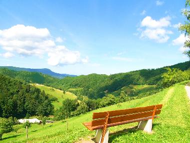 Panoramasicht vom Mllerbauernhof