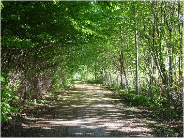 Ferienhaus in Boiensdorf-Stove (Mecklenburgische Ostseek�ste) oder Ferienwohnung oder Ferienhaus