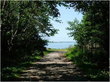 Ferienhaus in Boiensdorf-Stove (Mecklenburgische Ostseek�ste) oder Ferienwohnung oder Ferienhaus