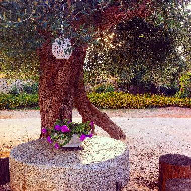 Villa in Ostuni (Brindisi) oder Ferienwohnung oder Ferienhaus