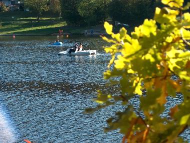 Ferienwohnung in Manderfeld (Wallonien) oder Ferienwohnung oder Ferienhaus