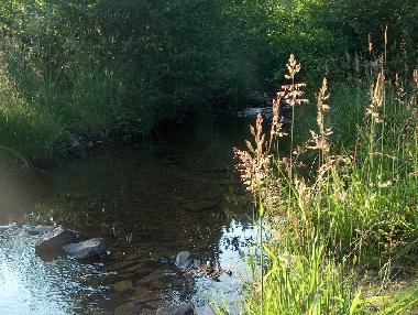 Ferienwohnung in Manderfeld (Wallonien) oder Ferienwohnung oder Ferienhaus