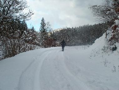 Ferienwohnung in Manderfeld (Wallonien) oder Ferienwohnung oder Ferienhaus