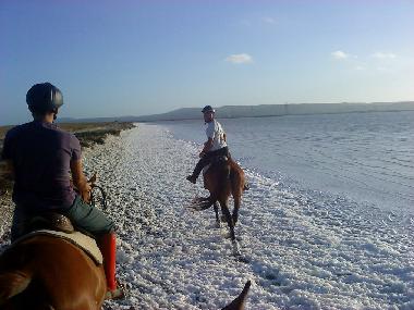 Ferienhaus in San Giovanni Suergiu (Carbonia-Iglesias) oder Ferienwohnung oder Ferienhaus