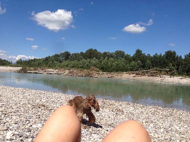 Villa in Bibione (Venezia) oder Ferienwohnung oder Ferienhaus