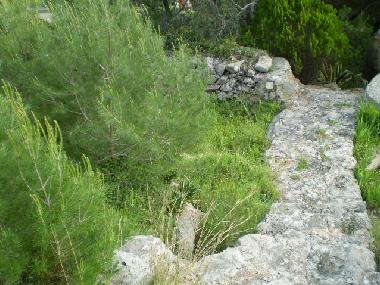 Ferienhaus in Pat (Lecce) oder Ferienwohnung oder Ferienhaus
