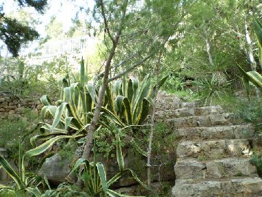Ferienhaus in Pat (Lecce) oder Ferienwohnung oder Ferienhaus