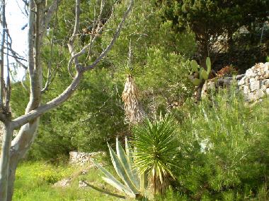 Ferienhaus in Pat (Lecce) oder Ferienwohnung oder Ferienhaus