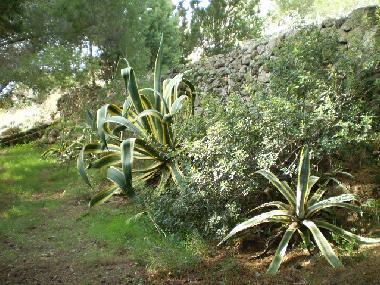 Ferienhaus in Pat (Lecce) oder Ferienwohnung oder Ferienhaus