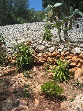 Ferienwohnung in Tricase Porto (Lecce) oder Ferienwohnung oder Ferienhaus
