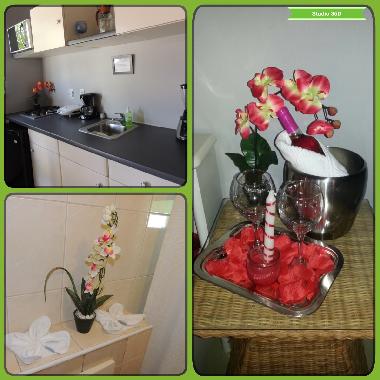 Ferienwohnung in cas cora weg (Curacao) oder Ferienwohnung oder Ferienhaus