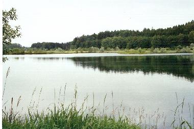 Ferienwohnung in Hohenfels (Bodensee) oder Ferienwohnung oder Ferienhaus