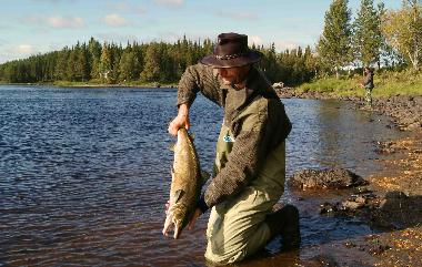 Ferienhaus in Gargn�s (V�sterbotten) oder Ferienwohnung oder Ferienhaus