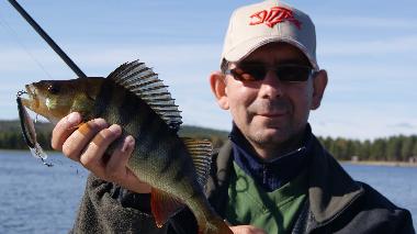 Ferienhaus in Gargn�s (V�sterbotten) oder Ferienwohnung oder Ferienhaus