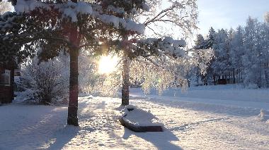 Ferienhaus in Gargn�s (V�sterbotten) oder Ferienwohnung oder Ferienhaus