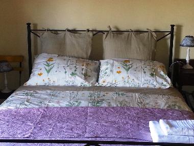 Ferienwohnung in Radicondoli-Montalcinello (Siena) oder Ferienwohnung oder Ferienhaus