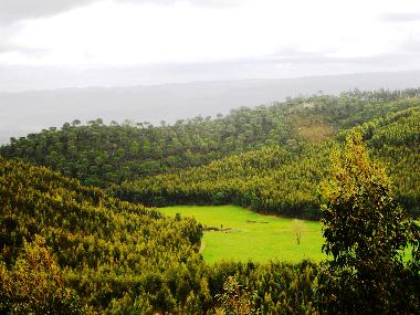 Ferienhaus in Cercal do Alentejo (Alentejo Litoral) oder Ferienwohnung oder Ferienhaus