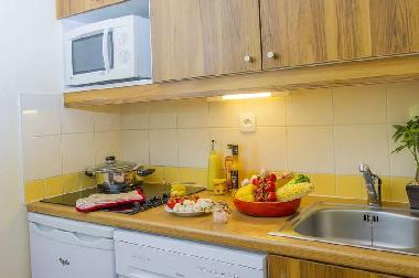 Ferienwohnung in saint-Lary-Soulan (Hautes-Pyr�n�es) oder Ferienwohnung oder Ferienhaus