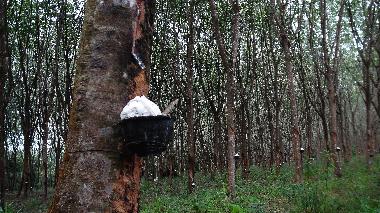 Villa in Ao Nang (Krabi) oder Ferienwohnung oder Ferienhaus