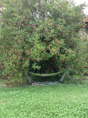 Villa in Viol�s (Vaucluse) oder Ferienwohnung oder Ferienhaus