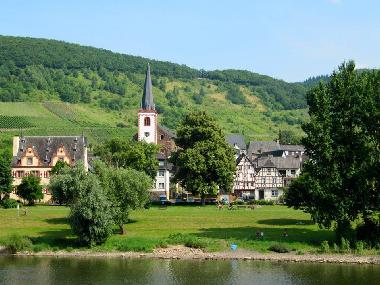 Ferienhaus in Bruttig-Fankel (Mosel - Saar) oder Ferienwohnung oder Ferienhaus