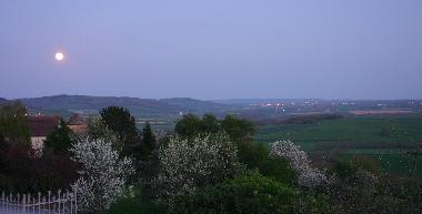 Blick aus dem Garten / View from the garden