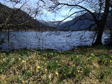 Ferienwohnung in Gerardmer (Vosges) oder Ferienwohnung oder Ferienhaus