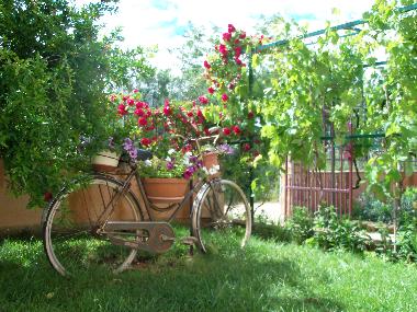 Ferienwohnung in Premantura (Istarska) oder Ferienwohnung oder Ferienhaus