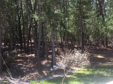 Ferienhaus in malbosc (Ard�che) oder Ferienwohnung oder Ferienhaus