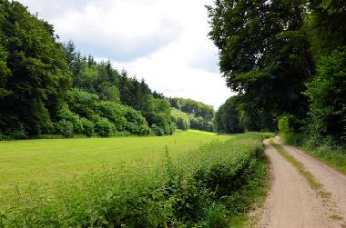 Ferienhaus in Lennestadt (Sauerland) oder Ferienwohnung oder Ferienhaus
