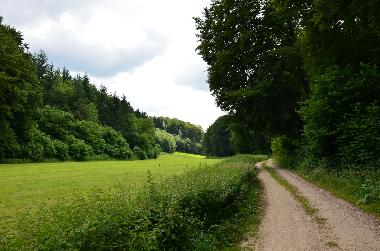 Ferienwohnung in Lennestadt (Sauerland) oder Ferienwohnung oder Ferienhaus