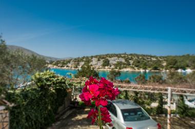 Ferienwohnung in Grebastica (Sibensko-Kninska) oder Ferienwohnung oder Ferienhaus