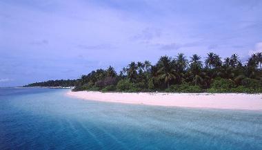 Pension in china town (Kaafu) oder Ferienwohnung oder Ferienhaus